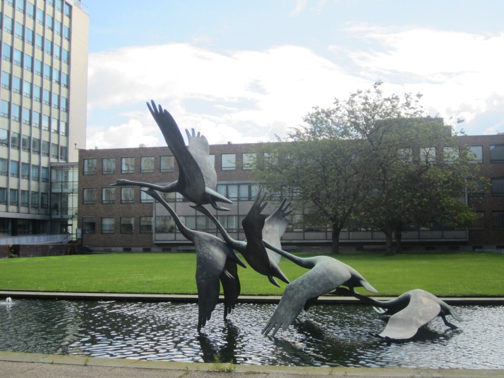 David Wynne’s bronze Swans in Flight rise above a rectangular pool, with the lawn and glazed facade of Newcastle Civic Centre behind.